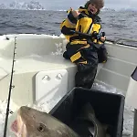펜션 Kvitsand Lofoten Adventure