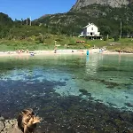 펜션 Kvitsand Lofoten Adventure