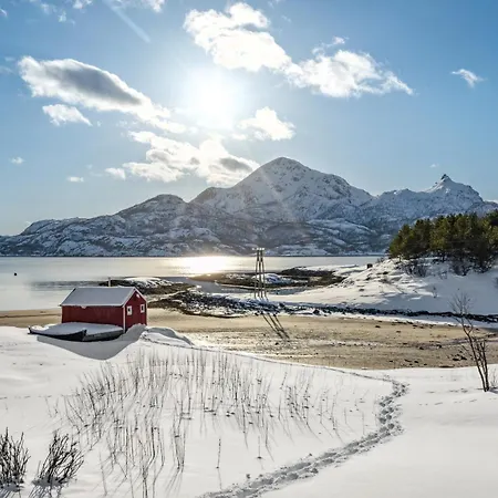 Kvitsand Lofoten Adventure 펜션 Selnes (Lofoten)