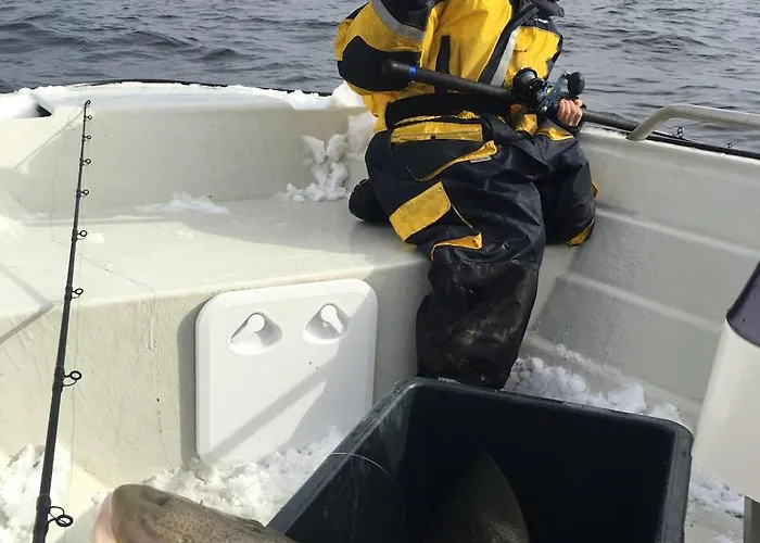 펜션 Kvitsand Lofoten Adventure